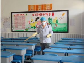大連地區(qū)專業(yè)蟲害防治與教育咨詢服務指南
